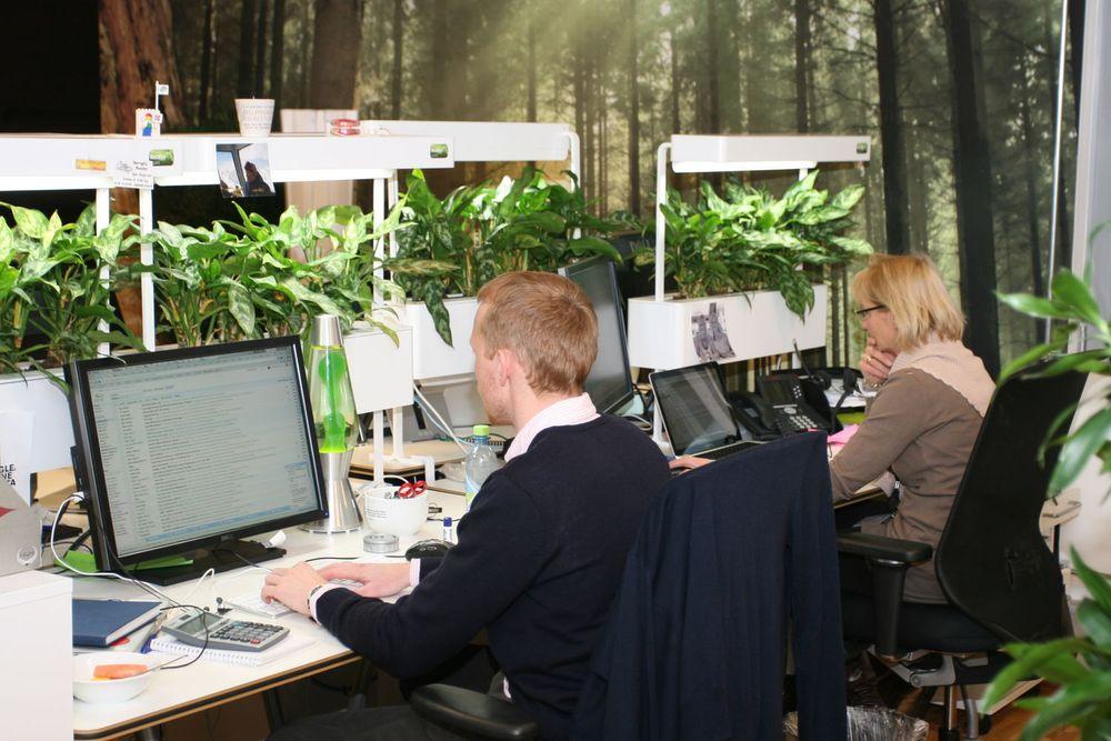 Naturlig lys og planter gjør sitt til at de ansatte føler seg ekstra opplagte.