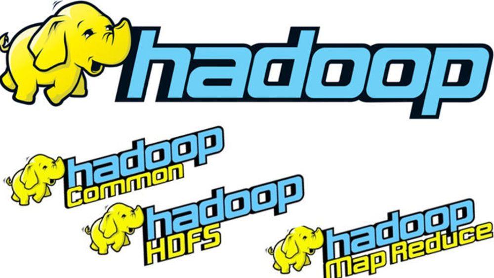 Hadoop er fordelt på tre underprosjekter. Verktøyet er oppkalt etter koseelefanten til sønnen til initiativtaker Doug Cutting.