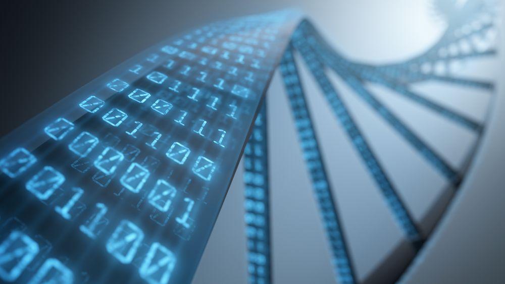 Forskere i Europa få tilgang til et nytt datanettverk med humane genomsekvenser. 